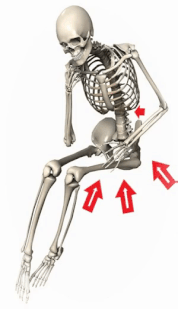 back pain, una palestra in casa per la schiena, sedia per il mal di schiena, prevenzione del mal di schiena, sedia ergonomica, ergonomia, come combattere il mal di schiena, soluzione naturale al mal di schiena, esercizi per il mal di schiena ,  postura per il mal di schiena,  rimedio per il mal di schiena,  allenamento della zona lombare,  ginnastica  per il mal di shiena,  soluzione per l’ernia al disco,